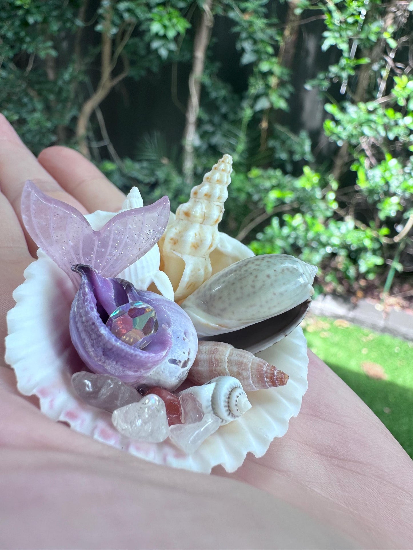 Unique Whimsical Conch Shell Collectable Gift, Mother’s Day, personalised gift