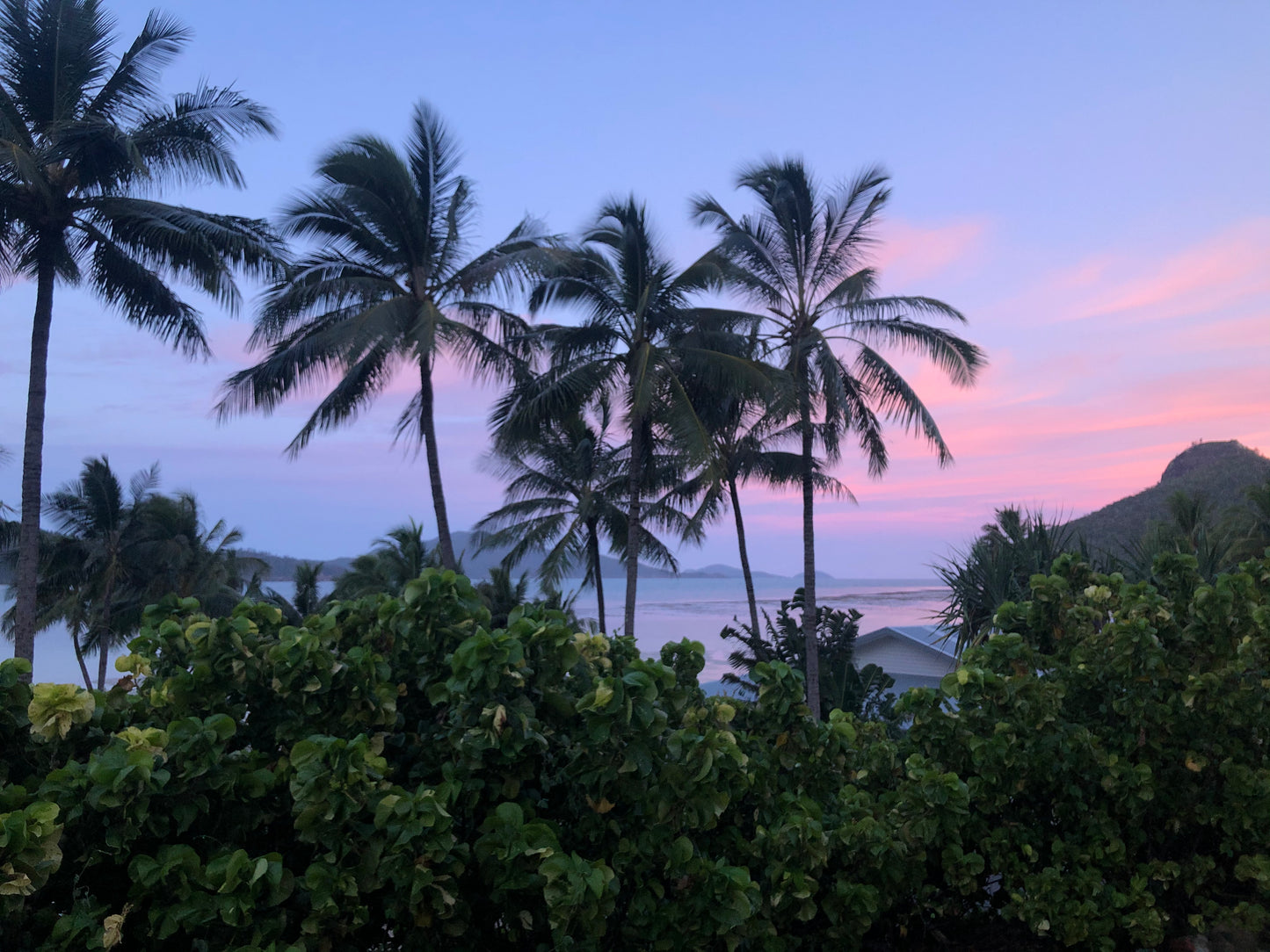 スワロフスキークリスタルを使用したハンドメイドのビーズネックレス