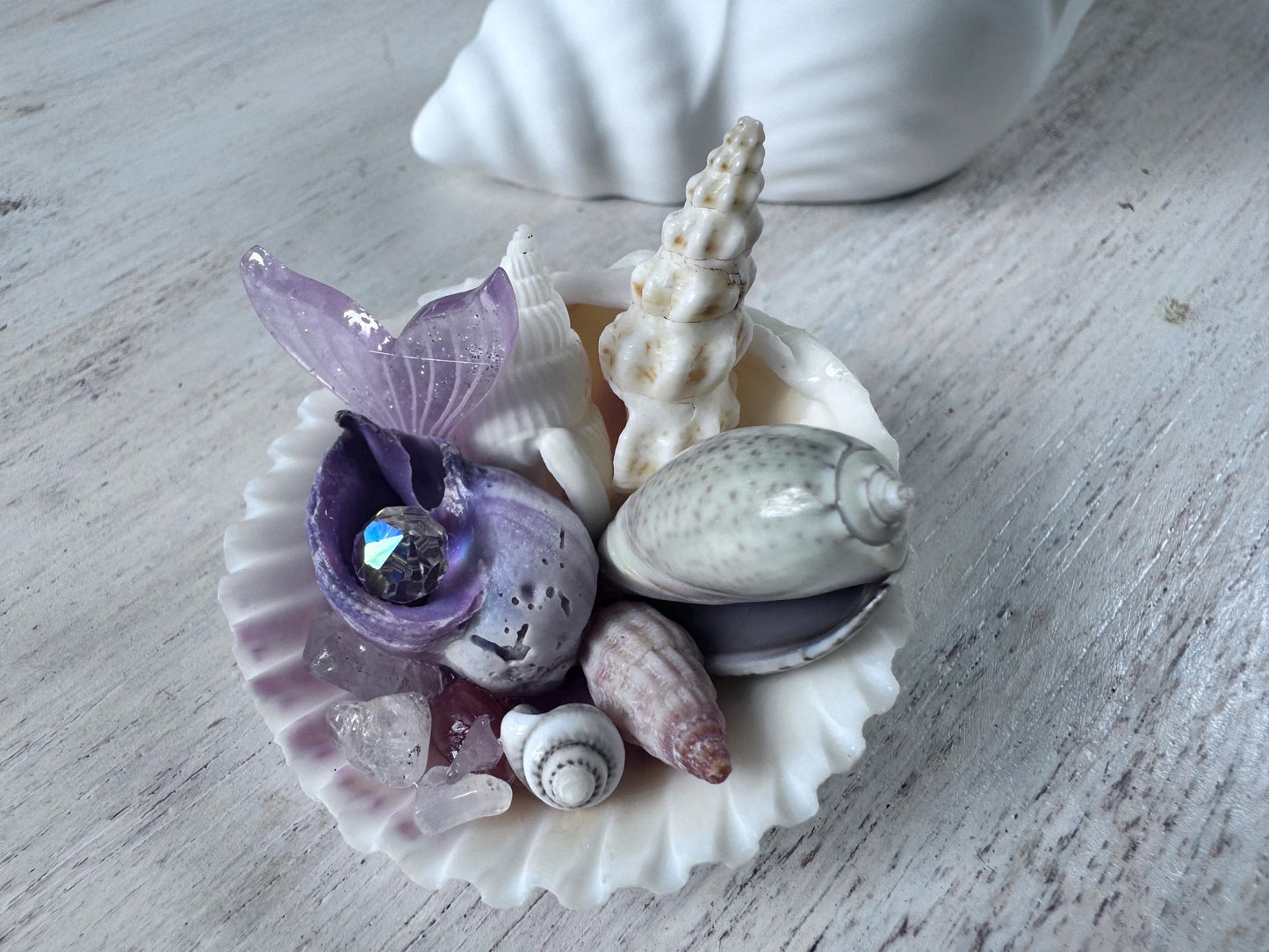 Unique Whimsical Conch Shell Collectable Gift, Mother’s Day, personalised gift