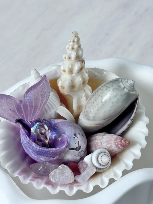 Unique Whimsical Conch Shell Collectable Gift, Mother’s Day, personalised gift